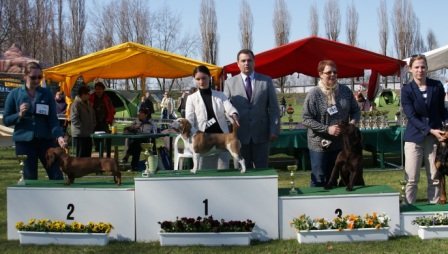 Inowroclaw - Jamajka - CWC, BOS, BIS WORKING DOG